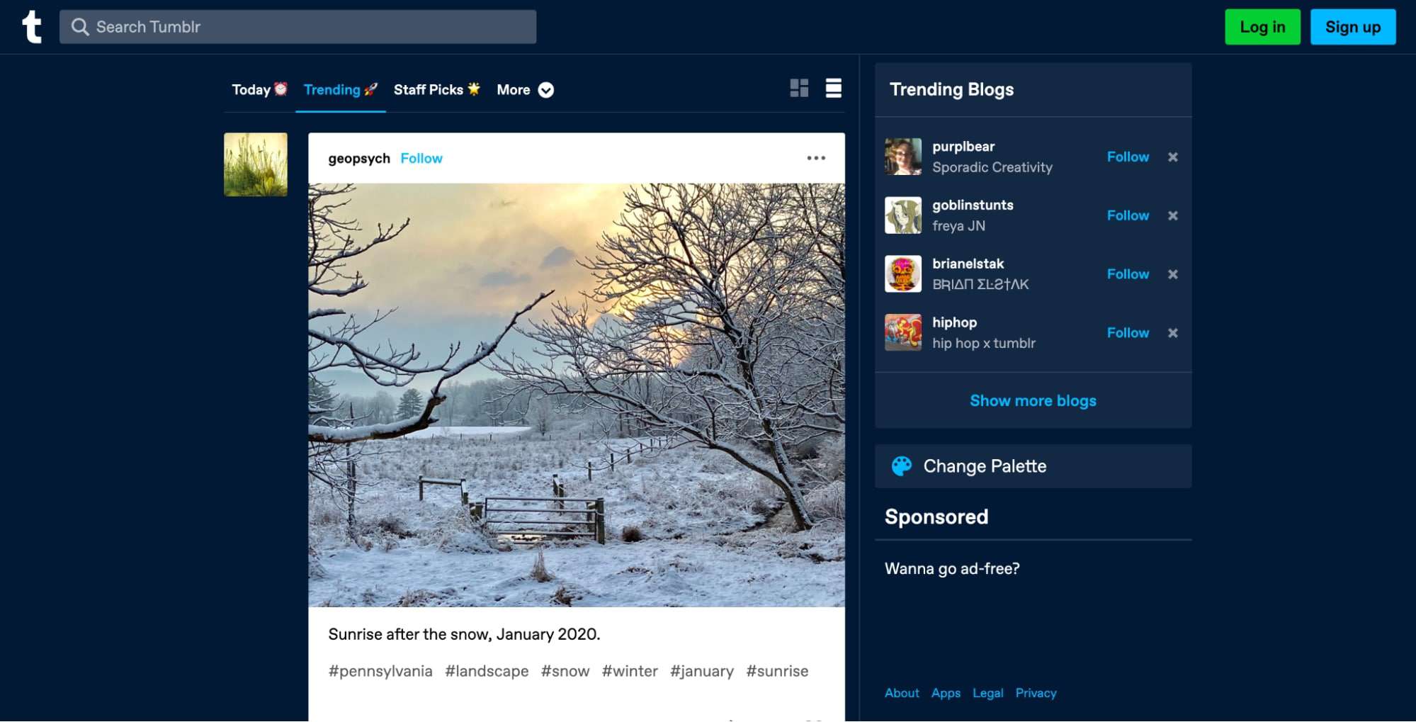 Tumblr homepage.